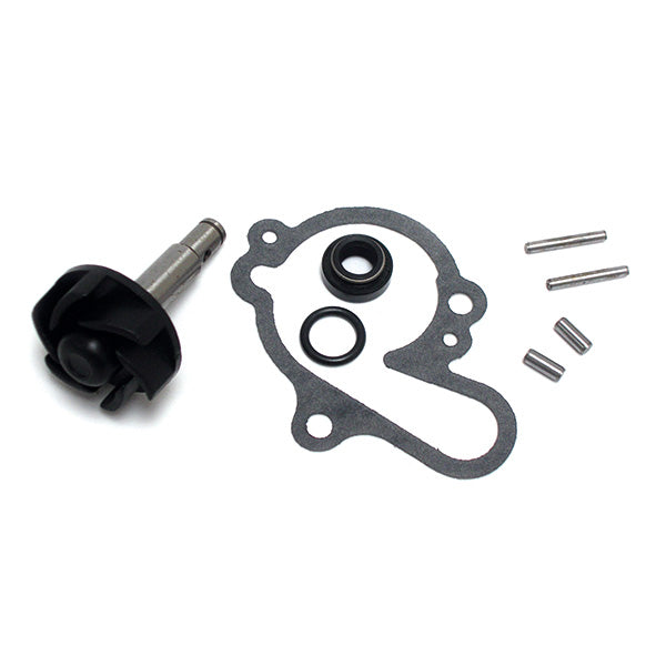 Water pump repair kit, MINARELLI 50 AM345/AM6